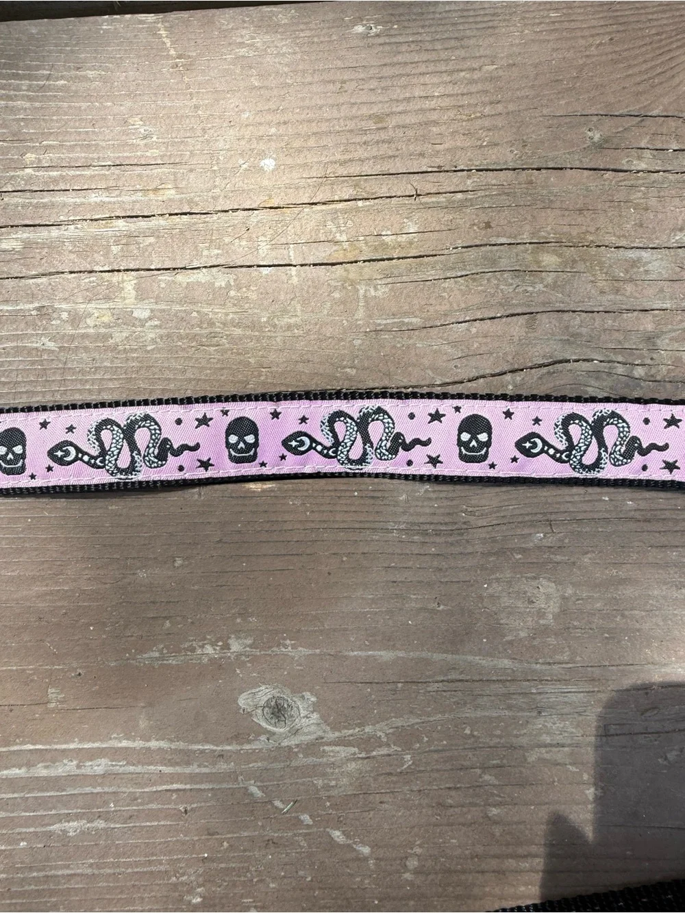 Matching Dog Collar + Leash — Handmade in CO